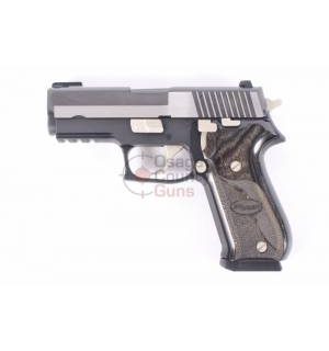 Sig Sauer P220 .45 Carry Equinox