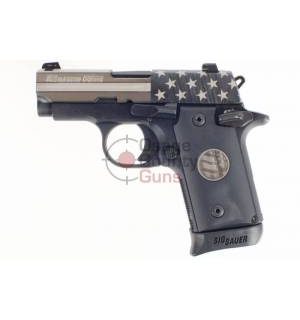 Sig Sauer P238 Stand - .380 ACP