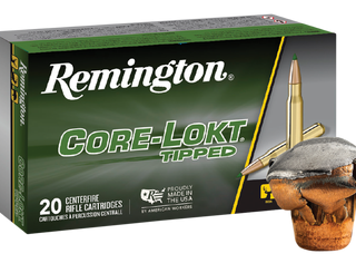 Remington Core-Lokt Brass .308 Win 180-Grain 20-Rounds CLT