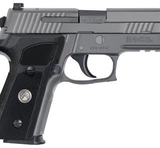 Sig Sauer P229 Compact Legion Gray 9mm 3.9" Barrel 10-Rounds