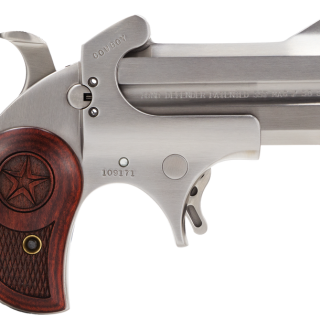 Bond Arms Cowboy Defender .38 SPL/.357 Mag 3" Barrel 2-Rounds