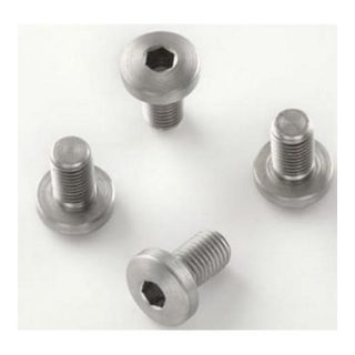 Hogue Govt. and Officers Model Screws (4) Hex Head - Stainless Finish