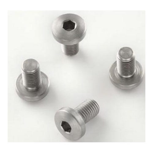 Hogue Govt. and Officers Model Screws (4) Hex Head - Stainless Finish