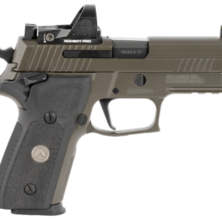 Sig Sauer P229 Compact Legion RXP Gray 9mm 3.9" Barrel 15-Rounds Romeo1