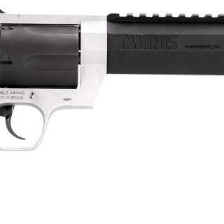 Buy Taurus Raging Hunter 460 S&W