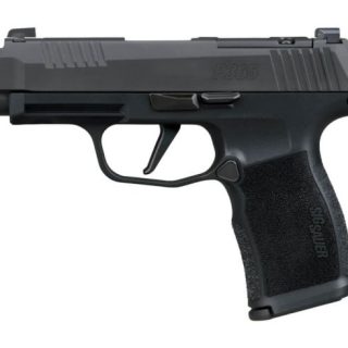 P365-XL COMP 380 for sale