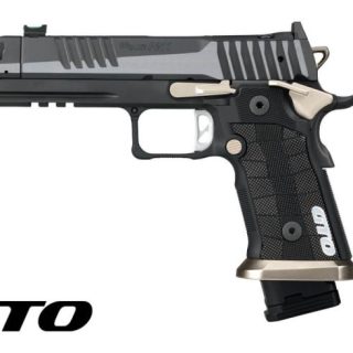 P211-GTO EQUINOX for sale