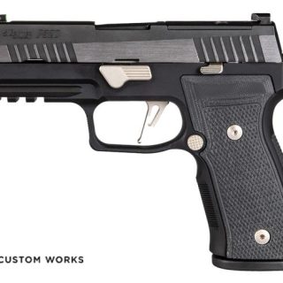 P320 AXG Equinox for sale