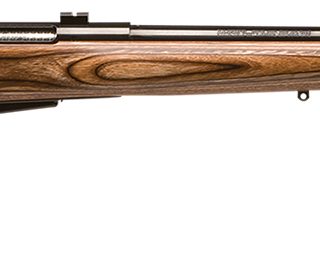 Savage 25 Lightweight Varminter .204 Ruger 24-inch Laminate
