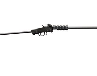 Chiappa Little Badger Take Down Xtreme .22 LR 16.5″