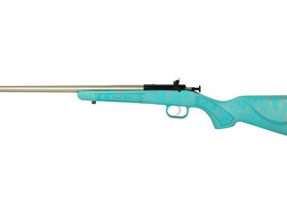 Davey Crickett Crickett Gen2 .22 LR 16.1in Stainless