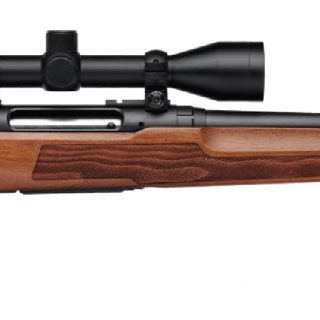 SAVAGE ARMS AXIS 2 22-250 WOOD 22″ PKG